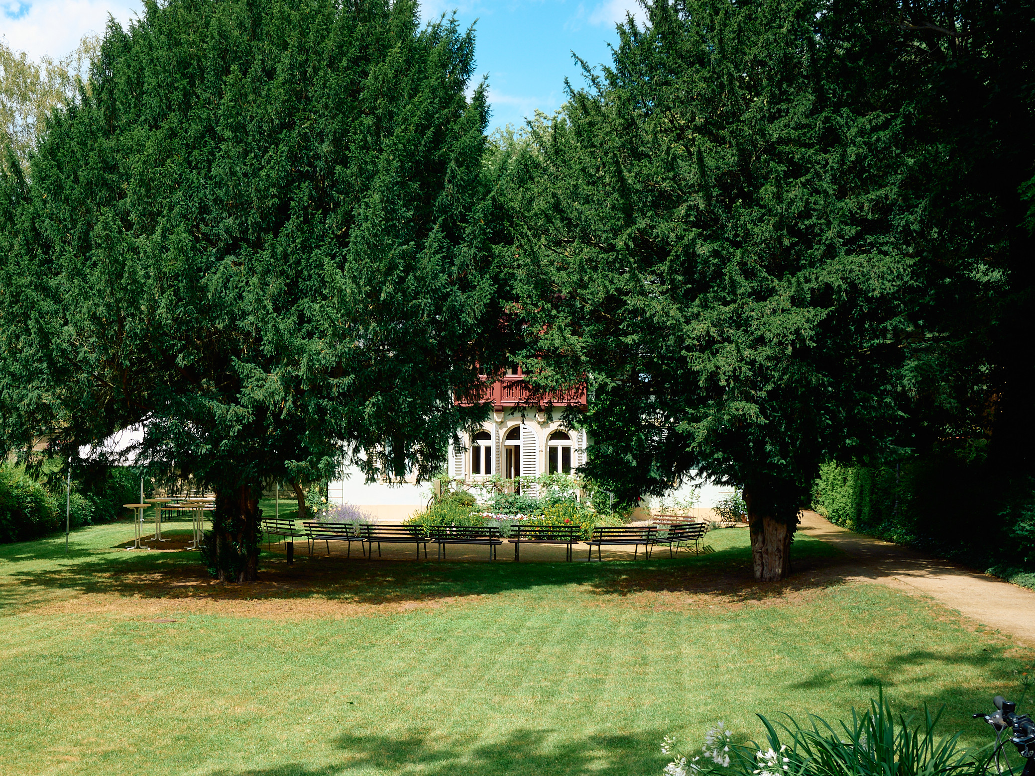 KI generiert: Das Bild zeigt zwei große Bäume in der Mitte eines gepflegten Rasens mit einem Haus dahinter. Vor dem Haus stehen mehrere Bänke und ein paar Tische.