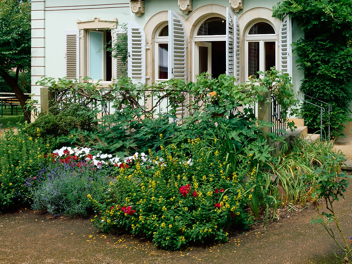 KI generiert: Das Bild zeigt die Vorderseite eines Hauses mit offenen Fensterläden und einem üppigen, farbenfrohen Garten voller Blumen und Pflanzen. Der Garten dominiert den Vordergrund und unterstreicht die charmante Atmosphäre des Hauses.