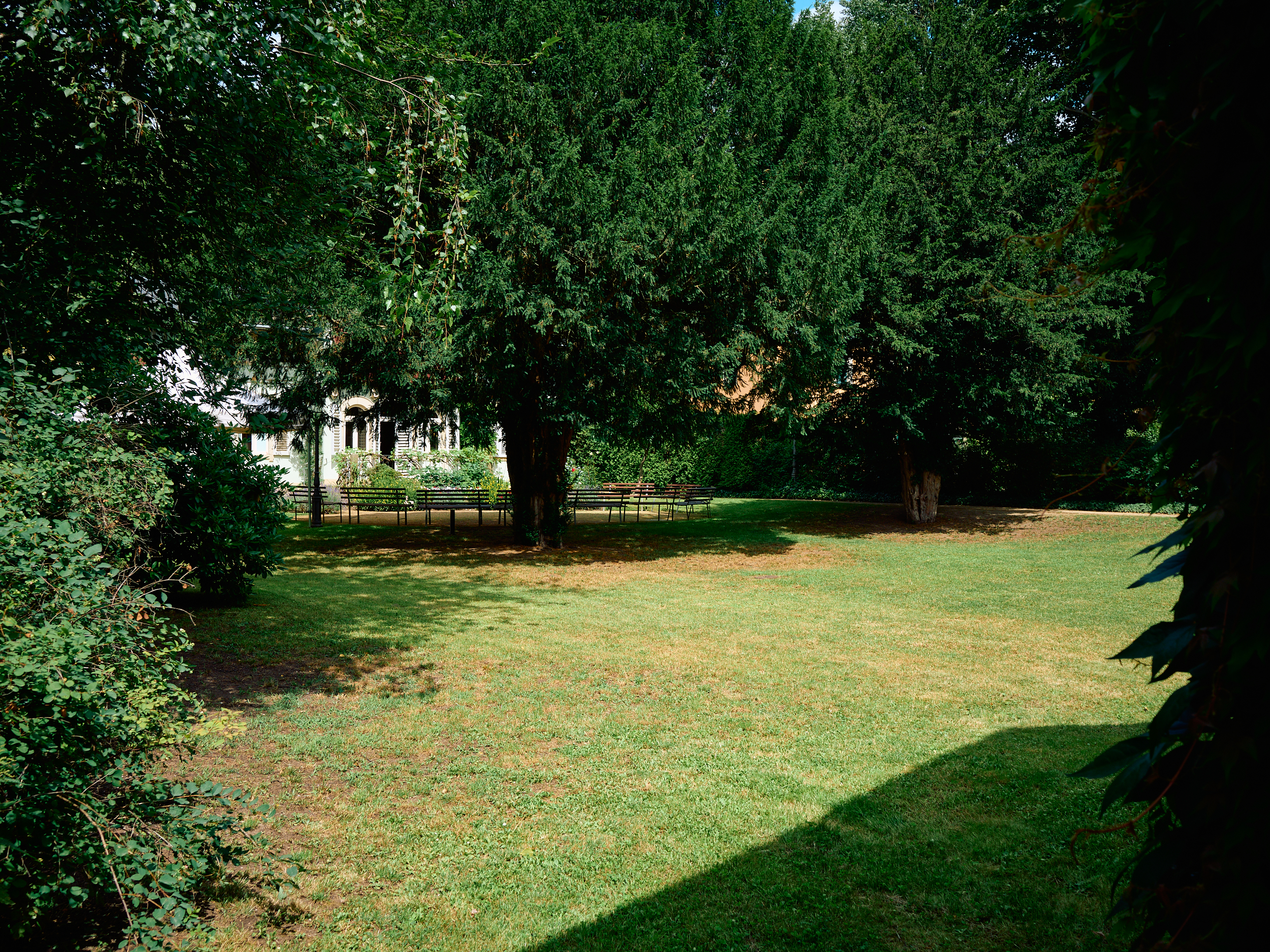 KI generiert: Das Bild zeigt eine grüne Wiese mit zwei großen, schattenspendenden Bäumen in einem Garten oder Park. Im Hintergrund sind Bänke und ein Gebäude zu erkennen.